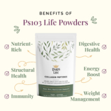Powder Supplements