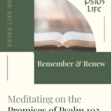 Downloadable PDF Guide - Meditating on the Promises of Psalm 103