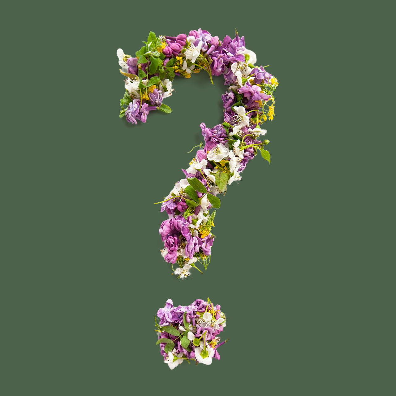 Question mark of natural meadow flowers